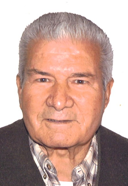  Don VICENTE GARCIA GARCIA 